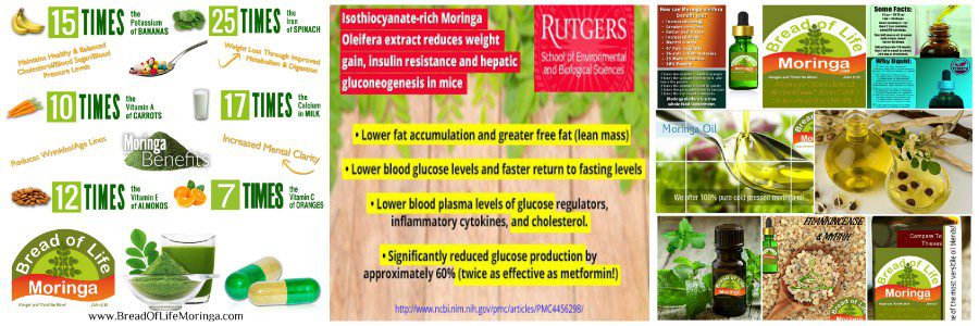 Bread Of Life Moringa for weight loss